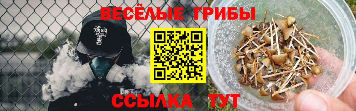 Псилоцибиновые грибы ЛСД Отрадное