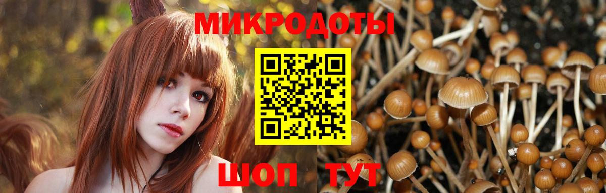 Псилоцибиновые грибы мухоморы  Псилоцибиновые грибы Cubensis  Отрадное  Вход с VPN 